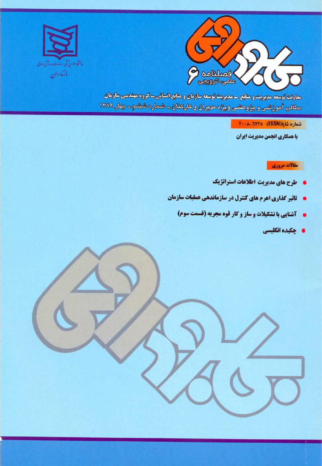 The Impact of Control Levers in Organizing Organizational Operations