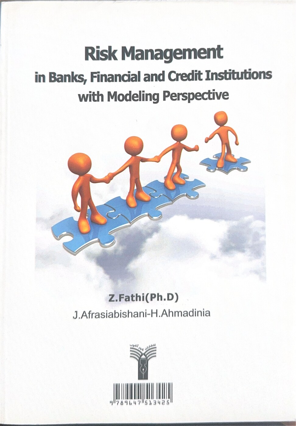 Risk Management in Banks, Financial and Credit Institutions with Modeling Perspective